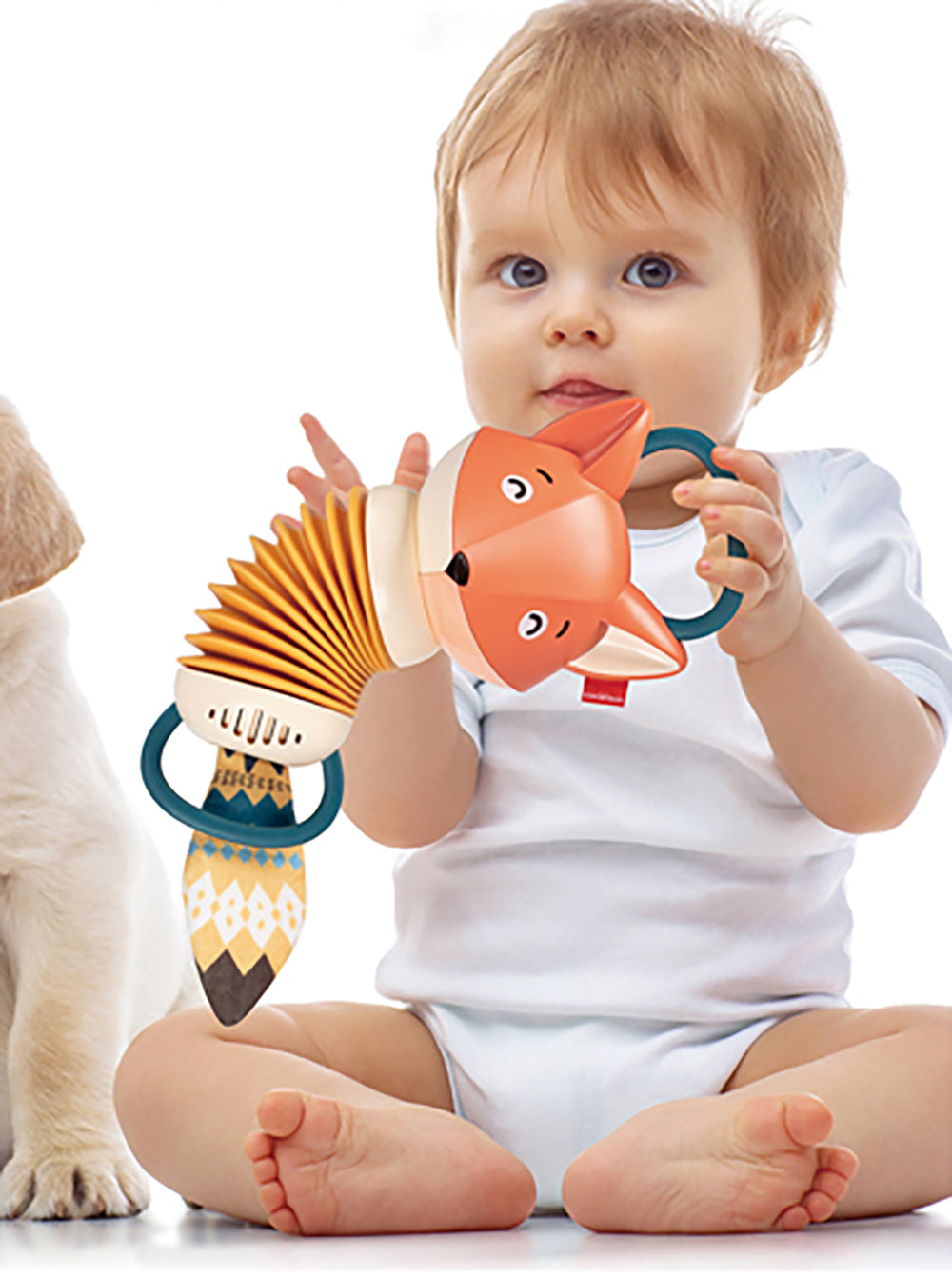 Caterbee Baby Plush Musical Accordion Take-Along Toy – Fox | Interactive Sensory Toy for Grasping & Teething