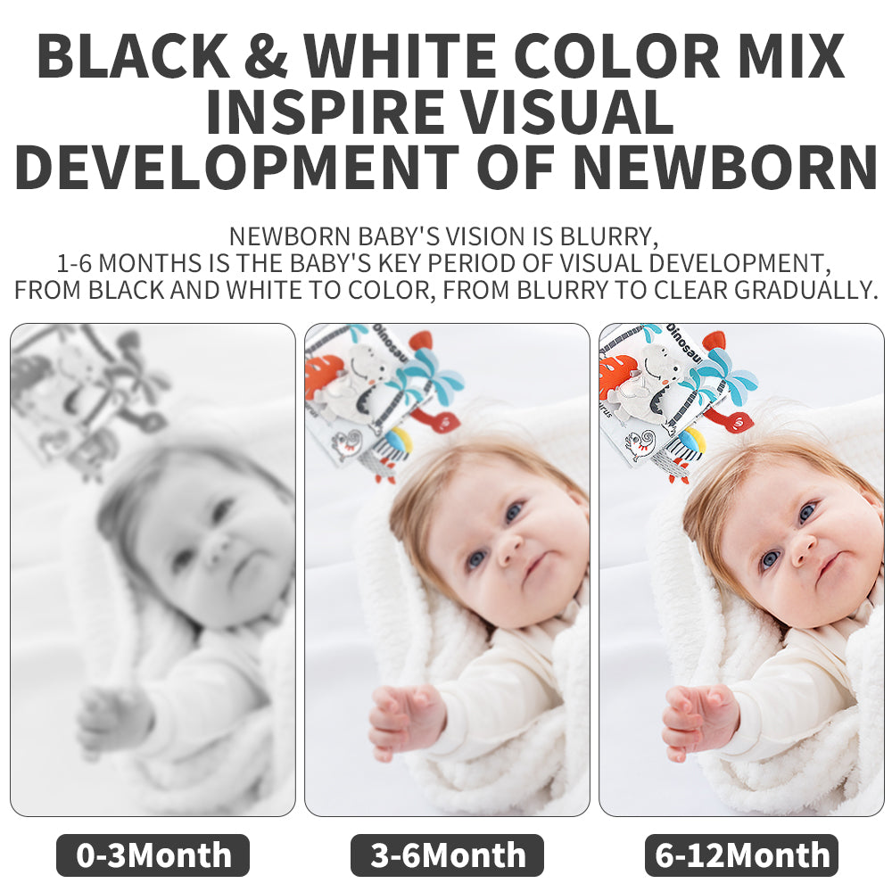 Baby Soft Crinkle Book Toy Set, Sensory Activity Books with Dinosaur Themes for Early Learning 2 Pcs