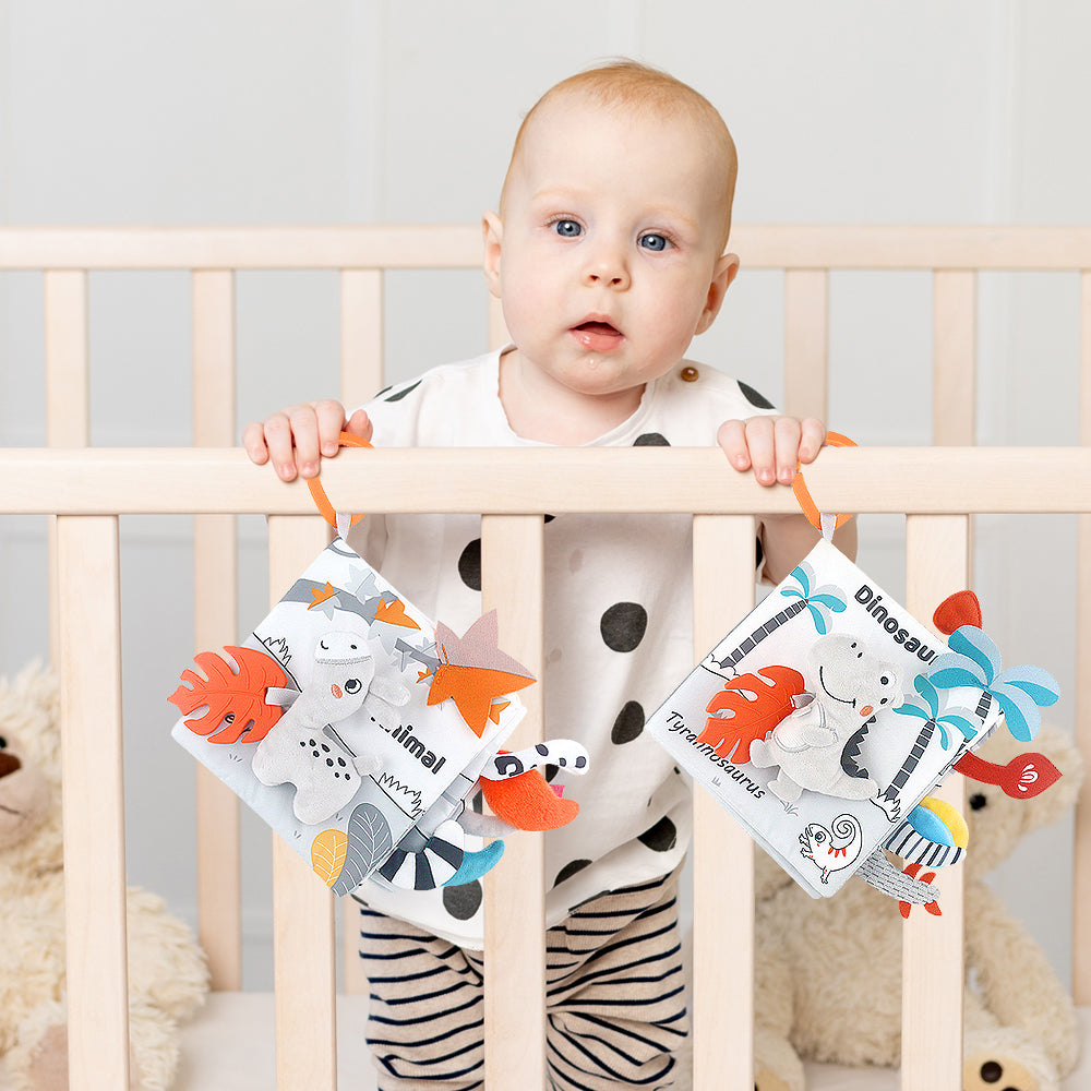Baby Soft Crinkle Book Toy Set, Sensory Activity Books with Dinosaur Themes for Early Learning 2 Pcs